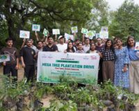 Green Pencil Foundation and Encalm Hospitality Plant 170 Native Trees in Delhi Through CSR Partnership
