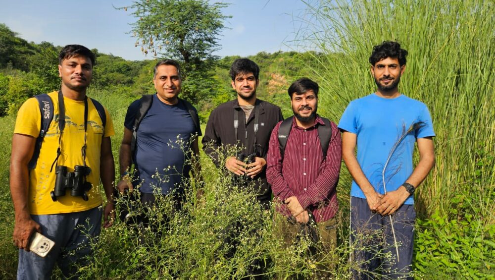 25 Birds, One Morning & a New Way to See Nature | Gurugram Bird Walk