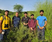 25 Birds, One Morning & a New Way to See Nature | Gurugram Bird Walk