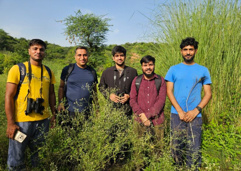 25 Birds, One Morning & a New Way to See Nature | Gurugram Bird Walk