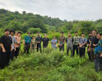 Exploring the Aravallis Through Birding: A Walk at Bhondsi Forest